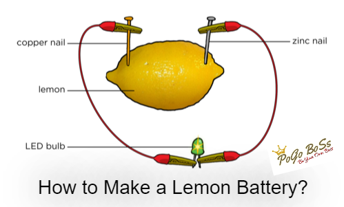 Read more about the article How to Make a Lemon Battery?